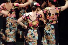 16 Νοεμβρίου παγκόσμια ημέρα Flamenco