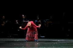 Παράσταση Movimientos Flamencos Θέατρο Ορφέας, Ιούνιος 2016